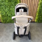 Bebetto Pelpasso (powystawowy) - obrazek 2